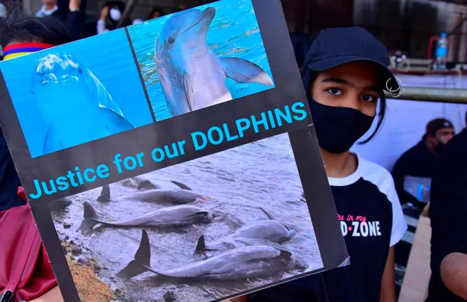 Μαυρίκιος: Ιστορικές διαδηλώσεις μετά την πετρελαιοκηλίδα και τον θάνατο 40 δελφινιών