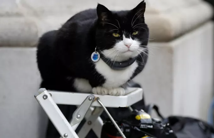 Βγαίνει στη σύνταξη ο γάτος του Φόρεϊν Όφις με τους 100.000 ακολούθους στο Twitter