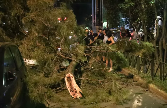 Χαλάνδρι: Πεζός καταπλακώθηκε από δέντρο που έπεσε (pics)