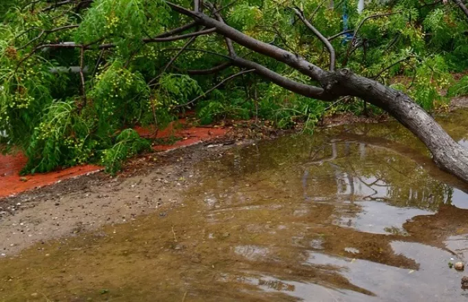 Κακοκαιρία έπληξε τη νότια Ηλεία - Τουρίστρια τραυματίστηκε από πτώση δέντρου