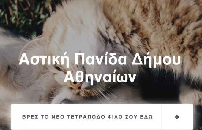 Ο Δήμος Αθηναίων γιορτάζει έμπρακτα την Παγκόσμια Ημερών Ζώων - Η πρωτοποριακή του δράση