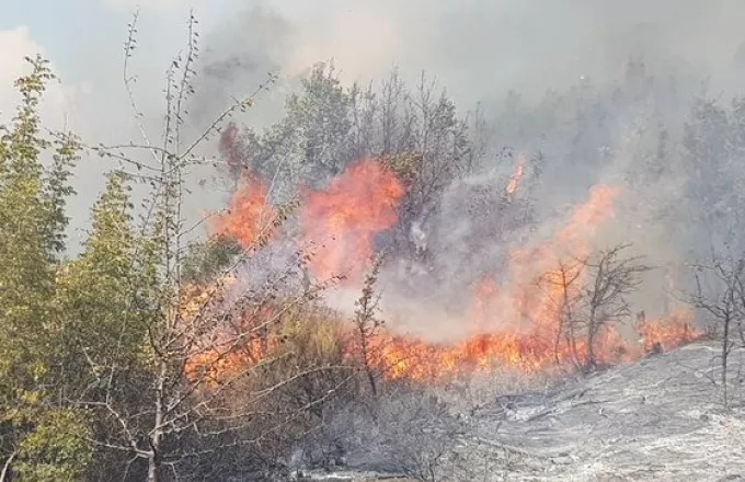Μαίνεται η φωτιά στον Έβρο - Μεταβαίνει εσπευσμένα ο αρχηγός της Πυροσβεστικής