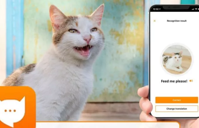 Kitty translate: Η εφαρμογή "MeowTalk" σας βοηθά να καταλάβετε τι... λέει η γάτα σας