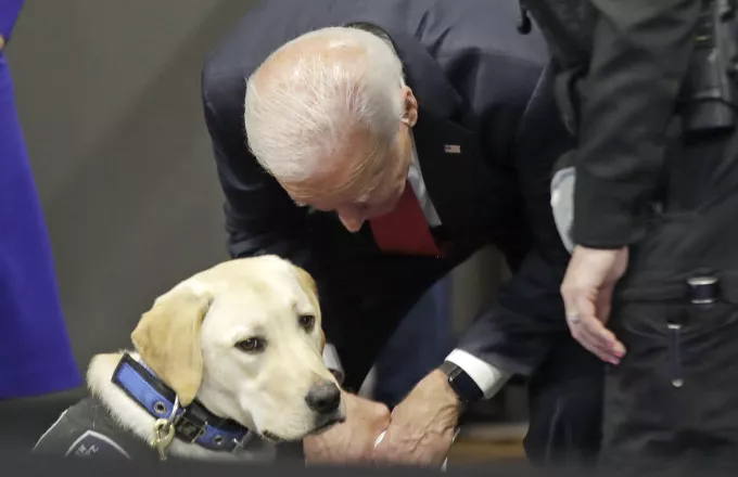 Τα «διάσημα» σκυλιά των ηγετών- Δύο γερμανικοί ποιμενικοί στον Λευκό Οίκο (pics)