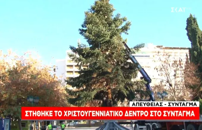Στήθηκε το χριστουγεννιάτικο δέντρο στην πλατεία Συντάγματος