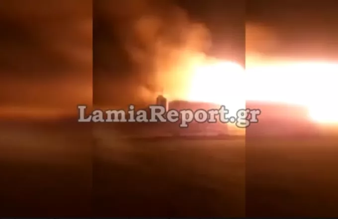 Λαμία: Τρείς τραυματίες από πυρκαγιά σε αποθήκη ξυλείας (Βίντεο)