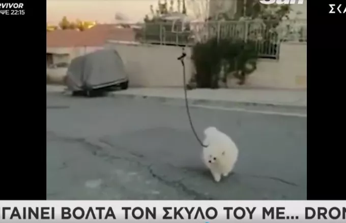 Κύπρος-Lockdown: Σκύλος βγήκε τη βόλτα του με... drone (video)