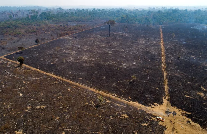WWF: Χάθηκαν 430 εκατομμύρια στρέμματα δασών στα κύρια «μέτωπα»