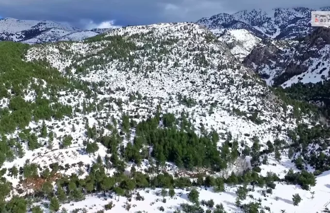 Μαγευτικές εικόνες από ψηλά από τη χιονισμένη Εύβοια - Δίρφυς (video)