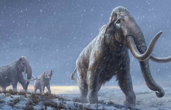 Σιβηρία: Βρέθηκε το αρχαιότερο DNA στον κόσμο σε απομεινάρια μαμούθ