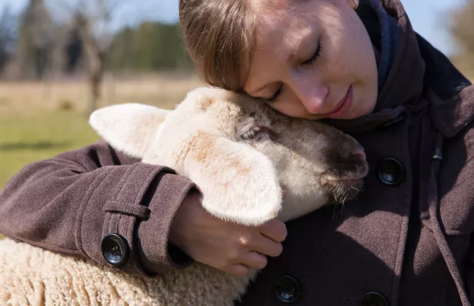 Γερμανία: Αισθάνεστε μοναξιά λόγω πανδημίας; «Αγκαλιάστε ένα πρόβατο»