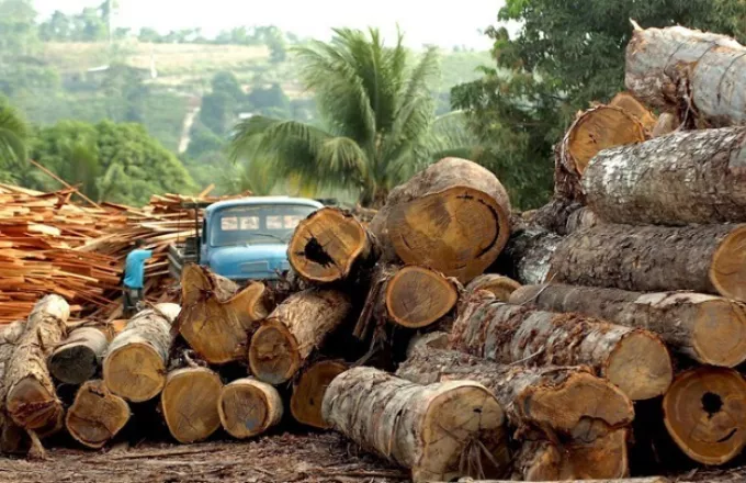 WWF: Αποψίλωση δασών που συνδέεται με εισαγωγές- Η ΕΕ στη 2η θέση παγκοσμίως μετά την Κίνα