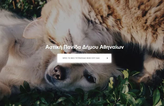 Έτοιμο το πρώτο σύγχρονο καταφύγιο αδέσποτων ζώων του δήμου της Αθήνας (φωτο)