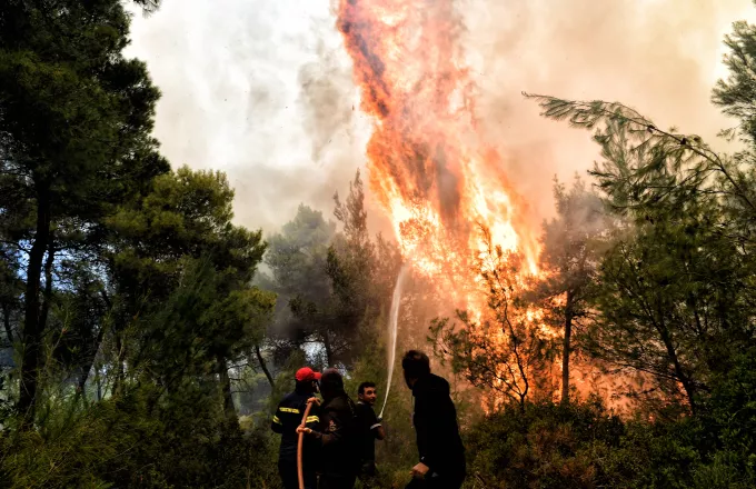 Αλεξανδρούπολη: Σε εξέλιξη πυρκαγιά σε πευκοδάσος στη Λευκίμη