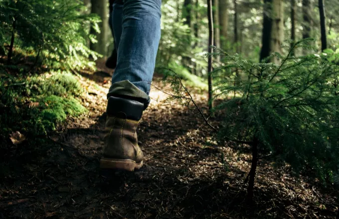 Θησαυρό 2.500 ετών βρήκε τυχαία στο δάσος περιπατητής στη Σουηδία