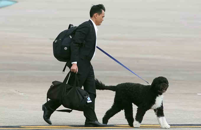 Πέθανε ο Μπο, ο σκύλος του Μπαράκ Ομπάμα - Η συγκινητική ανάρτηση του Ομπάμα (pics)