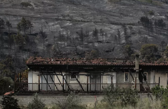 Σαράντα δασικές πυρκαγιές το τελευταίο 24ωρο σε όλη την Ελλάδα