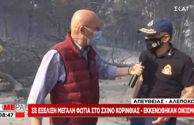 Αρχηγός πυροσβεστικής σε ΣΚΑΪ: Σε ύφεση η πυρκαγιά στο Σχίνο Κορινθίας- Ζημιές σε σπίτια 