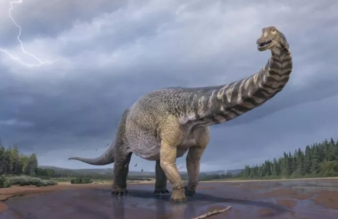 Ανακαλύφθηκε ο δεινόσαυρος «Αυστραλοτιτάν»: Eίχε μήκος όσο ένα γήπεδο μπάσκετ -ύψος 2 ορόφων
