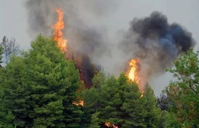 Πυρκαγιά στον Βύρωνα Αττικής-Δεν απειλούνται σπίτια 	
