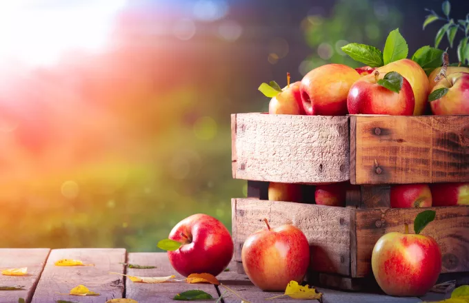 Αλήθεια ή μύθος πως «ένα μήλο την ημέρα τον γιατρό τον κάνει πέρα;»