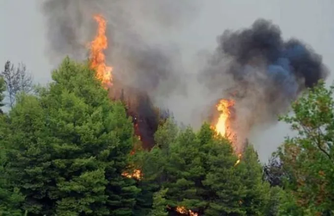 Πυρκαγιές σε Καστοριά και Κοζάνη	