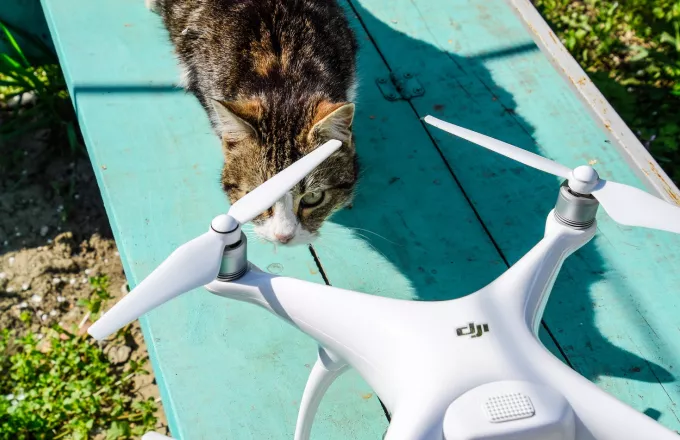  «Για να διατηρήσετε και τις 7… ζωές σας»: Πιλότος drone διασώζει ζώα σε παγκόσμιες ζώνες καταστροφής
