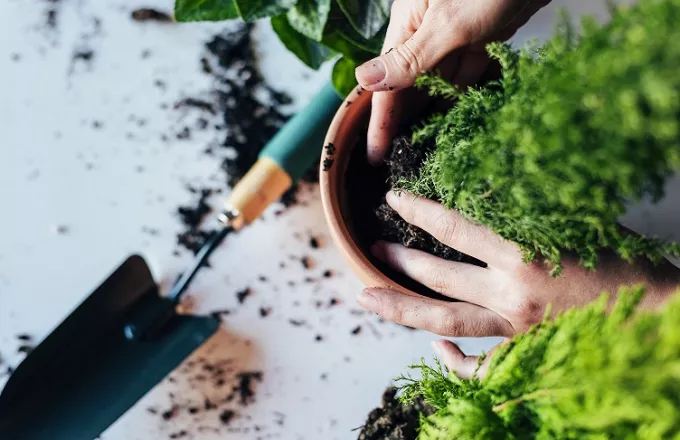 Τα tips κηπουρικής για αρχάριους που θα κάνουν το μπαλκόνι σου όαση