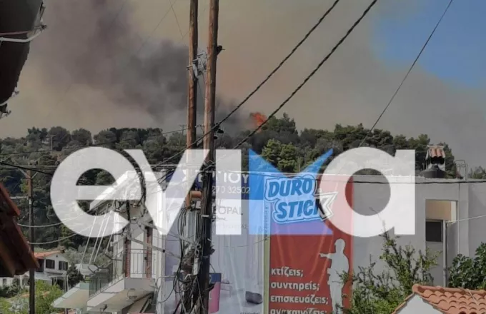 Σε ύφεση το πύρινο μέτωπο στην Χαλκίδα- Κοντά σε σπίτια η φωτιά (vid)