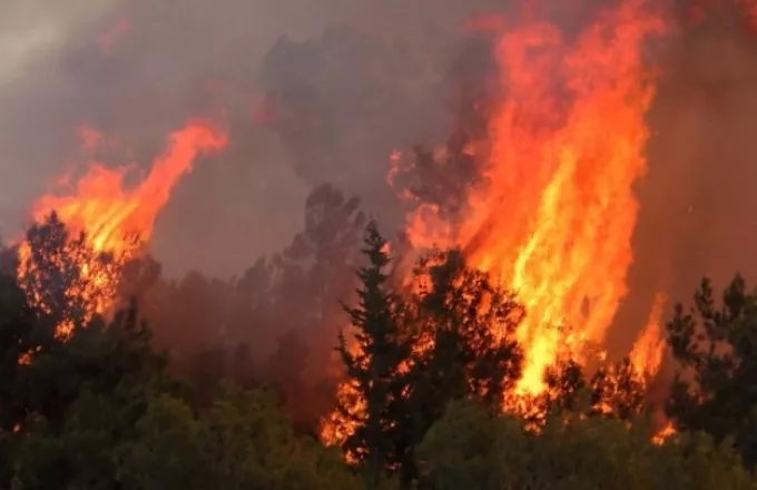 Κόρινθος: Συνελήφθη άντρας για τη φωτιά στο Καλέντζι- Σε εξέλιξη ακόμα η πυρκαγιά	