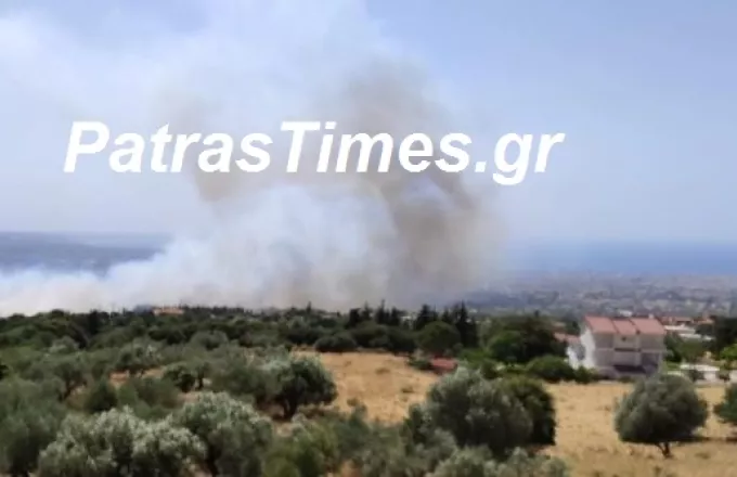 Πάτρα: Στις φλόγες παραδόθηκαν σπίτια στο Σούλι-Ενισχύονται οι πυροσβεστικές δυνάμεις (pic+vid)