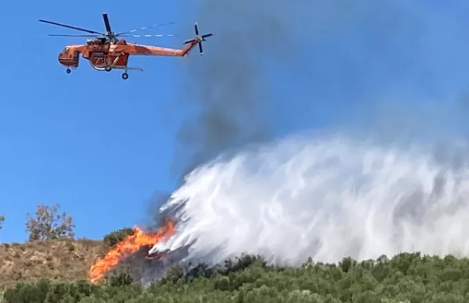 Ζάκυνθος: Φωτιά στην περιοχή Νερατζούλες