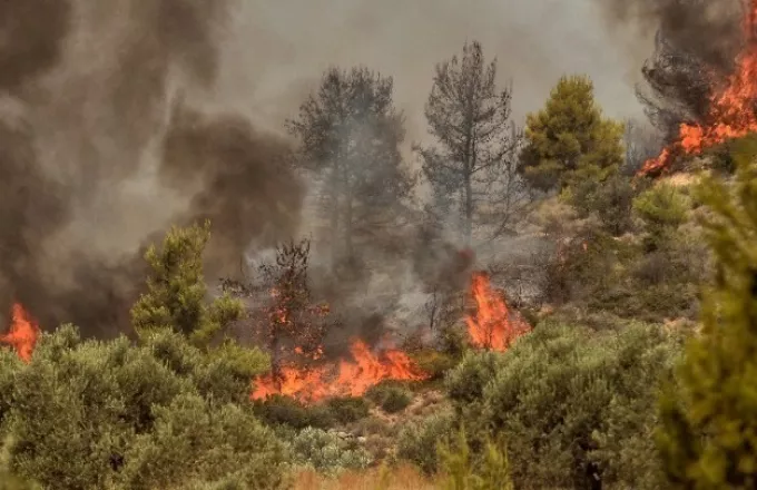 Κρήτη: Πυρκαγιά σε περιοχή του Δήμου Μαλεβιζίου