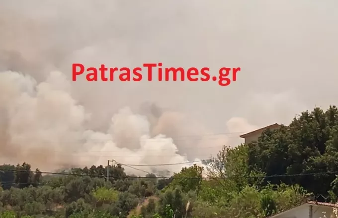 Πάτρα: Οριοθετήθηκε η φωτιά στα Συχαινά – Απειλήθηκαν σπίτια στον Προφήτη Ηλία
