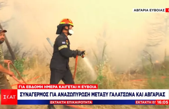 Εύβοια-Πυρκαγιές: Αναζωπύρωση μεταξύ των οικισμών Γαλατσώνα και Αβγαριά