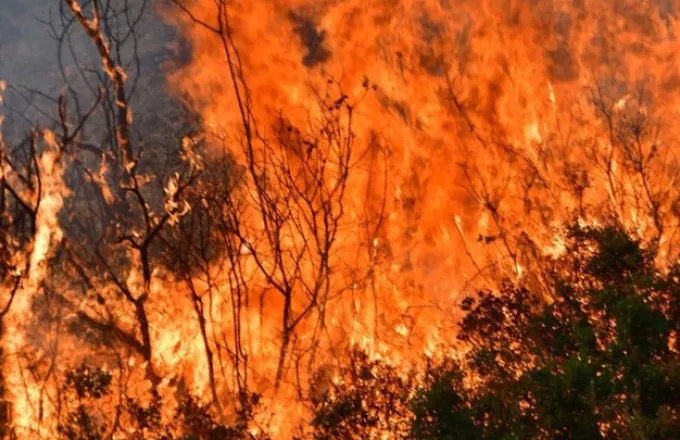 Φωτιά-Βόρεια Εύβοια: Αγωνία για τα χωριά Αμέλαντες, Σκεπαστή που τα κυκλώνουν οι φλόγες