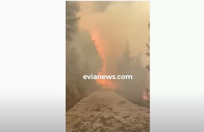 Πυρκαγιά-Εύβοια: Προς το Μαντούδι οι φλόγες -Εκκενώνονται κι άλλα χωριά