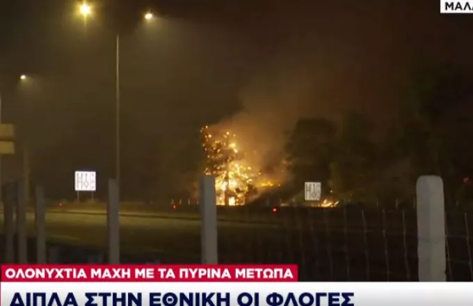 Πέρασε την Εθνική οδό η φωτιά στη Μαλακάσα -Κινείται προς Ωρωπό -Εκκενώνονται περιοχές