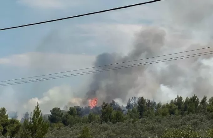 Μαίνεται η φωτιά στη Μαλεσίνα: Οι φλόγες απειλούν μοναστήρι- Εντολή εκκένωσης Θεολόγου 
