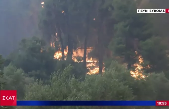 Πύρινος εφιάλτης στην Εύβοια: Στις φλόγες παραδόθηκαν σπίτια στο Πευκί