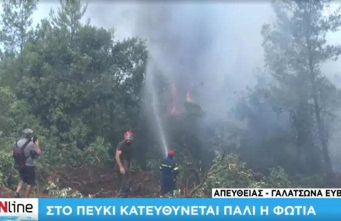 Εύβοια: Ξανά στο Πευκί η φωτιά -Μάχη με τα πύρινα μέτωπα
