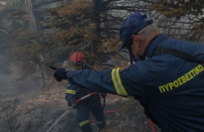 Γρεβενά: Καλή εικόνα εμφανίζει η πυρκαγιά στον δήμο Δεσκάτης 