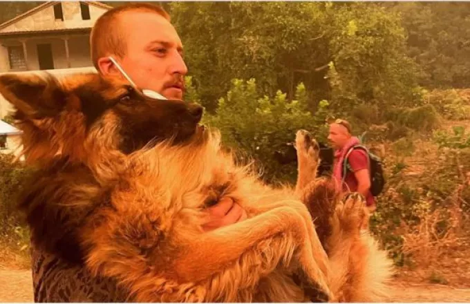 Εύβοια: Eθελοντής σώζει λυκόσκυλο που ο ιδιοκτήτης το είχε αφήσει δεμένο να καεί (φωτο)