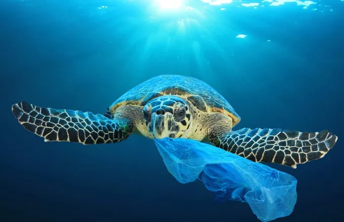 Ωκεανοί-Πλαστική ρύπανση: Τι βρήκαν ερευνητές που εξέτασαν 121 θαλάσσιες χελώνες