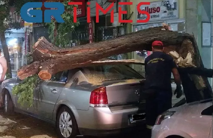 Δέντρο έπεσε σε ΙΧ στο κέντρο της Θεσσαλονίκης - Λαχτάρισε ο ιδιοκτήτης του (vid, pics)
