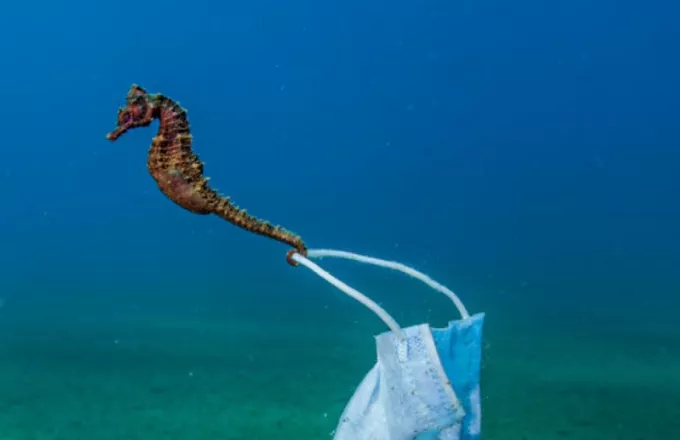 Η πανδημία... της θάλασσας: Το εντυπωσιακό «κλικ» Έλληνα φωτογράφου που διεκδικεί διεθνές βραβείο