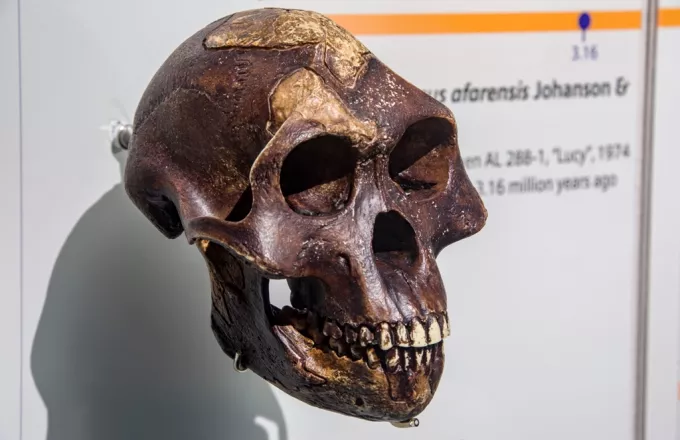 Στην Κρήτη οι αρχαιότερες πατημασιές προγόνων του ανθρώπου, 6 εκατ. ετών