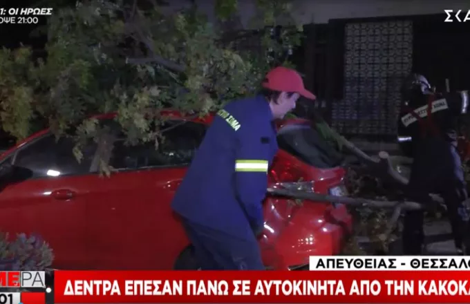 Σαρώνει η κακοκαιρία «Αθηνά»: Δέντρα «πλάκωσαν» αυτοκίνητα στη Θεσσαλονίκη
