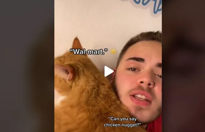 TikTok: Έμαθε τον γάτο του να «γελάει» και έγινε viral (vids)