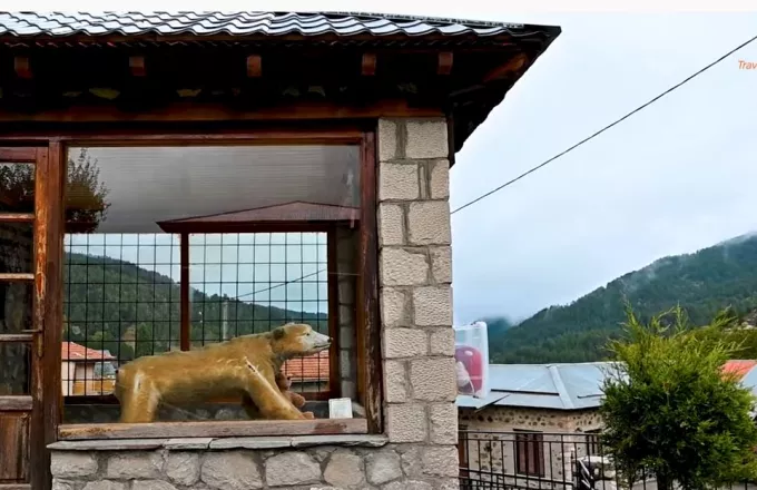 Καταρράκτες Μπουλουβάρου- H Μηλιά με την ιστορία της βαλσαμωμένης αρκούδας (vid)